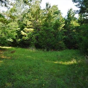 Photo #6 of SOLD property in Off Surratt Road, Denton, NC 145.8 acres