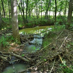 Photo #7 of SOLD property in Off Surratt Road, Denton, NC 145.8 acres