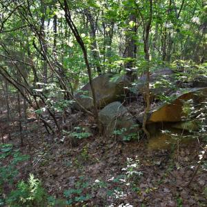 Photo #9 of SOLD property in Off Surratt Road, Denton, NC 145.8 acres