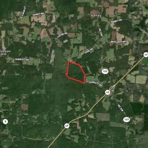 Photo #12 of SOLD property in Off Surratt Road, Denton, NC 145.8 acres