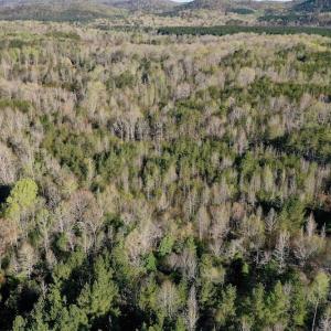 Photo #2 of SOLD property in Off River Road, Troy, NC 17.0 acres