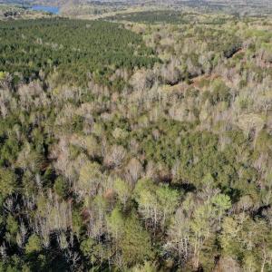 Photo #4 of SOLD property in Off River Road, Troy, NC 17.0 acres