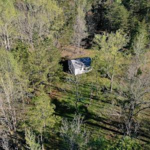 Photo #5 of SOLD property in Off River Road, Troy, NC 17.0 acres