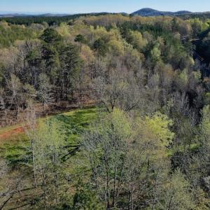 Photo #6 of SOLD property in Off River Road, Troy, NC 17.0 acres