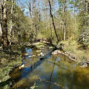 Photo #7 of SOLD property in Off River Road, Troy, NC 17.0 acres