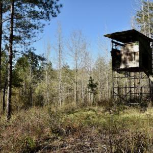 Photo #8 of SOLD property in Off River Road, Troy, NC 17.0 acres