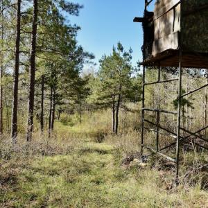 Photo #9 of SOLD property in Off River Road, Troy, NC 17.0 acres