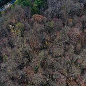 Photo #4 of SOLD property in Off Glenn Road, Troy, NC 20.7 acres