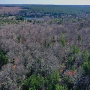 Photo #6 of SOLD property in Off Glenn Road, Troy, NC 20.7 acres