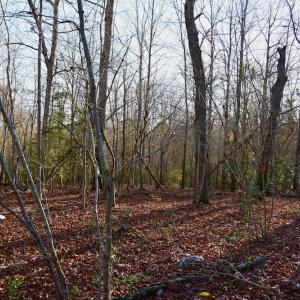 Photo #7 of SOLD property in Off Glenn Road, Troy, NC 20.7 acres