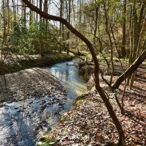 Photo #8 of SOLD property in Off Glenn Road, Troy, NC 20.7 acres