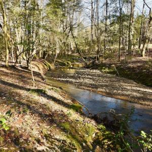 Photo #9 of SOLD property in Off Glenn Road, Troy, NC 20.7 acres
