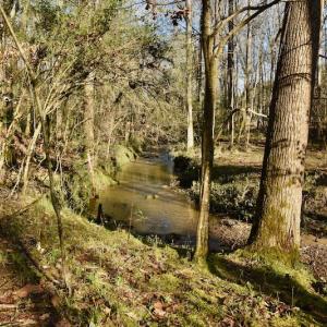 Photo #10 of SOLD property in Off Glenn Road, Troy, NC 20.7 acres