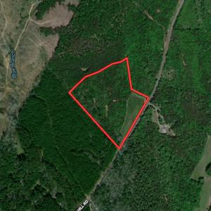 Photo #1 of SOLD property in Off Lovin Hill Road, Candor, NC 25.0 acres