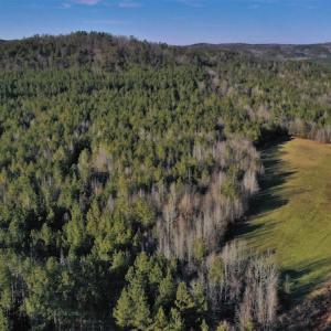 Photo #2 of SOLD property in Off Lovin Hill Road, Candor, NC 25.0 acres