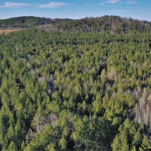 Photo #3 of SOLD property in Off Lovin Hill Road, Candor, NC 25.0 acres