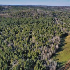Photo #4 of SOLD property in Off Lovin Hill Road, Candor, NC 25.0 acres