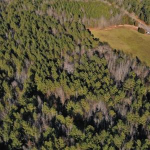 Photo #5 of SOLD property in Off Lovin Hill Road, Candor, NC 25.0 acres