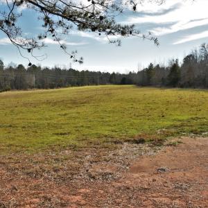 Photo #7 of SOLD property in Off Lovin Hill Road, Candor, NC 25.0 acres