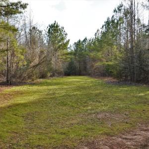 Photo #9 of SOLD property in Off Lovin Hill Road, Candor, NC 25.0 acres