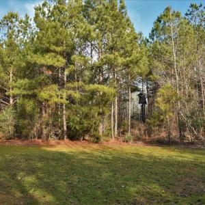 Photo #10 of SOLD property in Off Lovin Hill Road, Candor, NC 25.0 acres