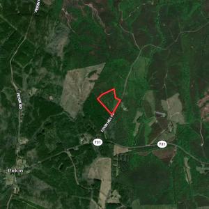 Photo #12 of SOLD property in Off Lovin Hill Road, Candor, NC 25.0 acres