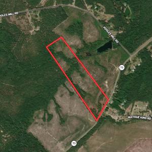 Photo #1 of SOLD property in Off NC Hwy, Jackson Springs, NC 29.6 acres