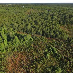 Photo #5 of SOLD property in Off NC Hwy, Jackson Springs, NC 29.6 acres