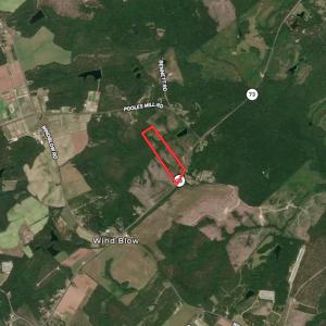 Photo #12 of SOLD property in Off NC Hwy, Jackson Springs, NC 29.6 acres