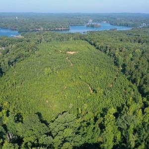 Photo #4 of SOLD property in Off Whip O Will Cove Rd, New London, NC 30.0 acres