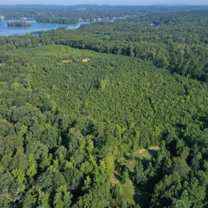 Photo #5 of SOLD property in Off Whip O Will Cove Rd, New London, NC 30.0 acres