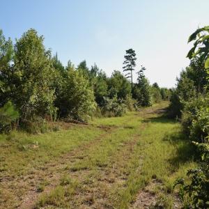 Photo #7 of SOLD property in Off Whip O Will Cove Rd, New London, NC 30.0 acres