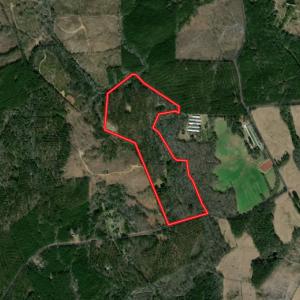 Photo #1 of SOLD property in 2942 Thickety Creek Road, Mt. Gilead, NC 75.0 acres