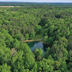 Photo #2 of SOLD property in 2942 Thickety Creek Road, Mt. Gilead, NC 75.0 acres