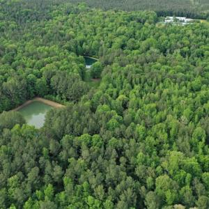 Photo #3 of SOLD property in 2942 Thickety Creek Road, Mt. Gilead, NC 75.0 acres