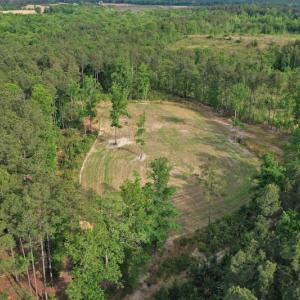 Photo #4 of SOLD property in 2942 Thickety Creek Road, Mt. Gilead, NC 75.0 acres
