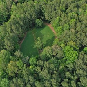 Photo #5 of SOLD property in 2942 Thickety Creek Road, Mt. Gilead, NC 75.0 acres