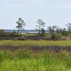 Photo #17 of 411 S Plantation Lane , Swansboro, NC 3.1 acres