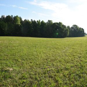 Photo #4 of SOLD property in Off Choate Road, Salisbury, NC 20.4 acres