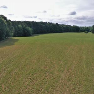 Photo #4 of SOLD property in Off McCanless Road, Salisbury, NC 20.7 acres