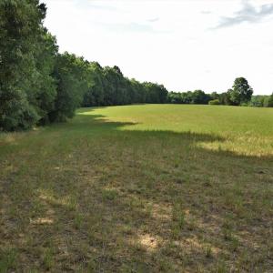 Photo #8 of SOLD property in Off McCanless Road, Salisbury, NC 20.7 acres