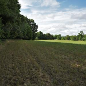 Photo #9 of SOLD property in Off McCanless Road, Salisbury, NC 20.7 acres