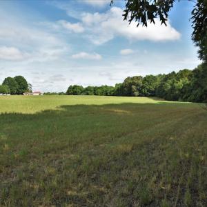 Photo #10 of SOLD property in Off McCanless Road, Salisbury, NC 20.7 acres