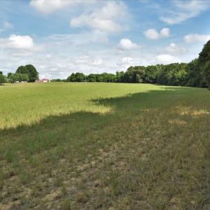 Photo #11 of SOLD property in Off McCanless Road, Salisbury, NC 20.7 acres