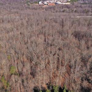 Photo #2 of SOLD property in Off Bringle Ferry Road, Salisbury, NC 56.5 acres