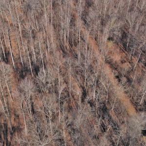 Photo #3 of SOLD property in Off Bringle Ferry Road, Salisbury, NC 56.5 acres