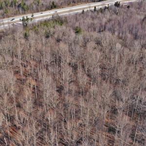 Photo #4 of SOLD property in Off Bringle Ferry Road, Salisbury, NC 56.5 acres