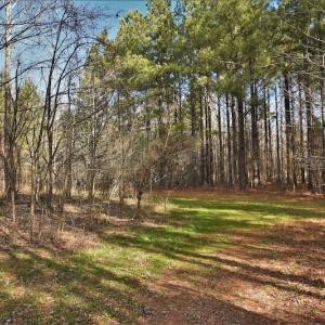 Photo #6 of SOLD property in Off Bringle Ferry Road, Salisbury, NC 56.5 acres