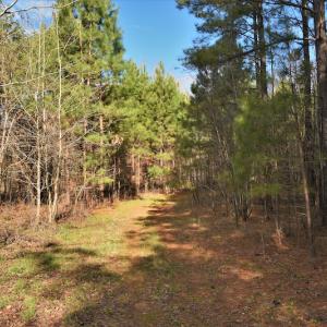 Photo #7 of SOLD property in Off Bringle Ferry Road, Salisbury, NC 56.5 acres