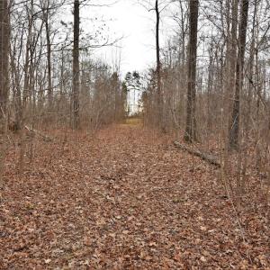 Photo #10 of SOLD property in Off Bringle Ferry Road, Salisbury, NC 56.5 acres
